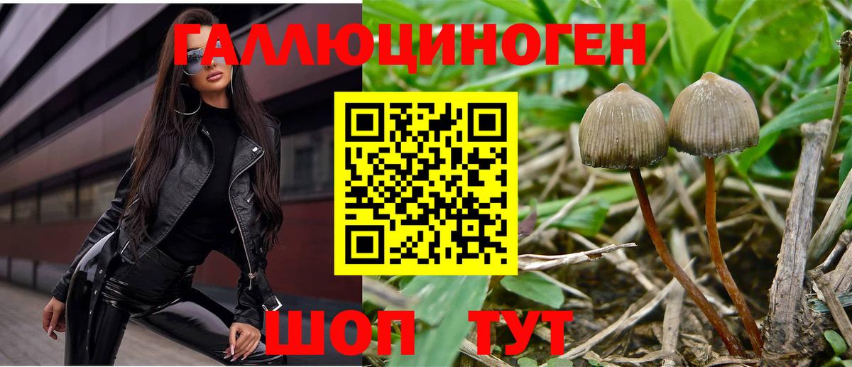 Галлюциногенные грибы Magic Shrooms Йошкар-Ола