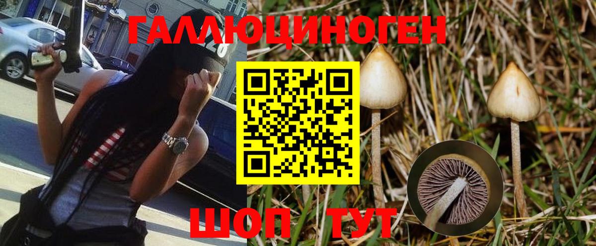 Йошкар-Ола  Псилоцибиновые грибы мицелий  Вход с VPN 